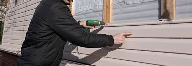 Best Siding for New Construction  in St Anthony, MN